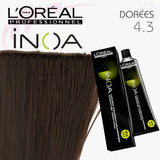 Loreal Inoa Ammonia Free Hair Color 60G 4.3 Golden Brown - Beauty Rush