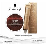 Schwarzkopf Professionals Igora Royal Absolutes Hair Color 60ml 5-80 Light Brown Red Natural - Beauty Rush