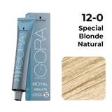 Schwarzkopf Igora Hair Color 60ml 12-0 Special Blonde Natural + Developer 20 Vol Combo - Beauty Rush
